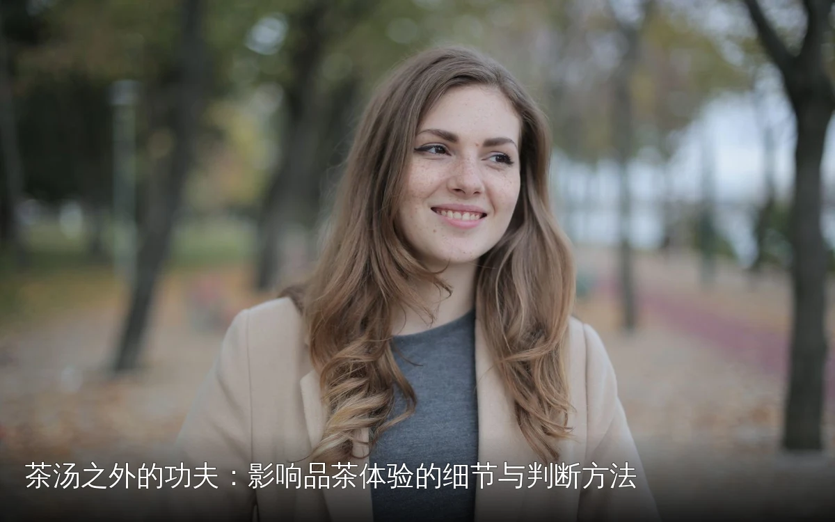 主题场景配图,仅作示意
