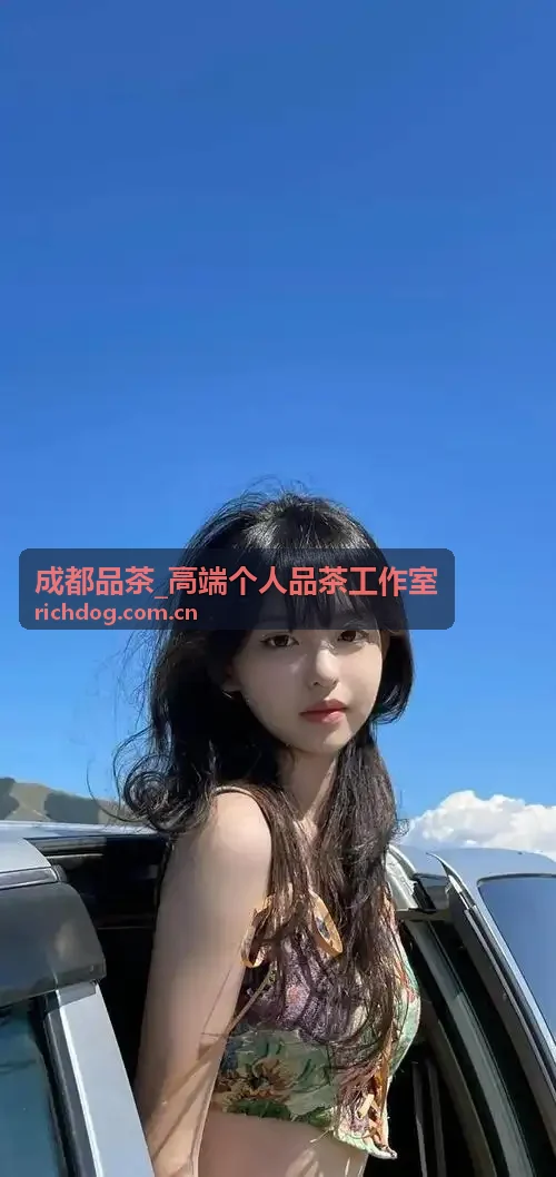 成都品茶 精品茶品推荐